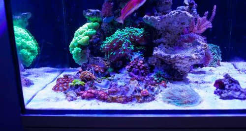 IMG_0135.jpg