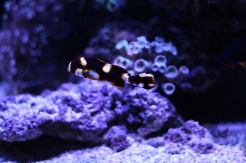 IMG_1651.JPG