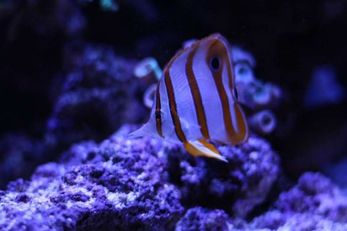 IMG_1710.JPG