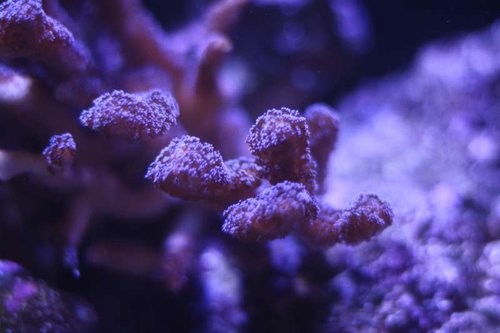 IMG_1630.JPG
