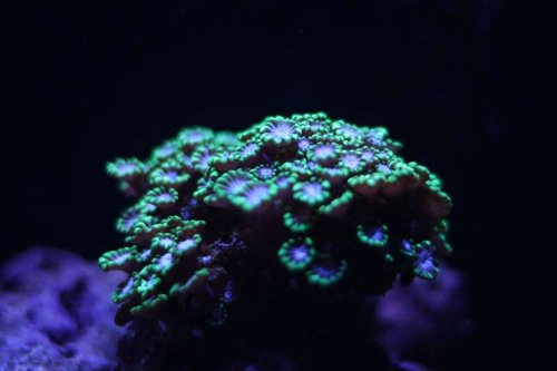 IMG_1723.JPG