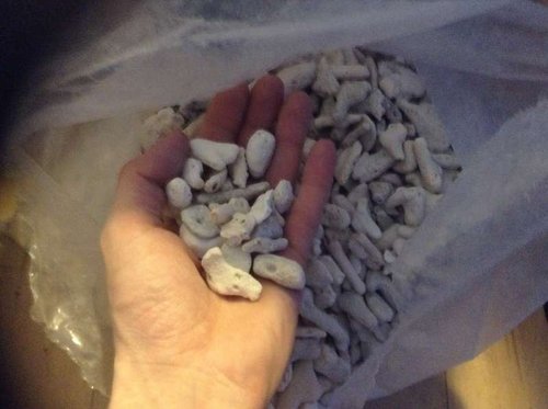 10kg for 134kr i minizoo