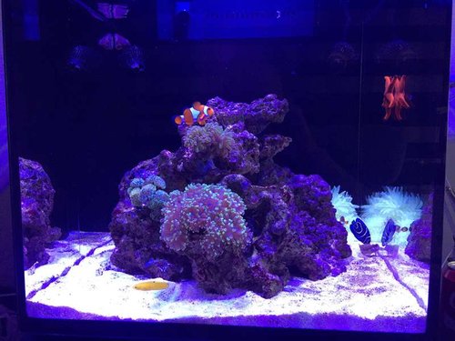 reefer_nano.jpg