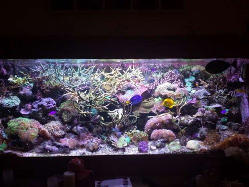 20150305_213605.jpg