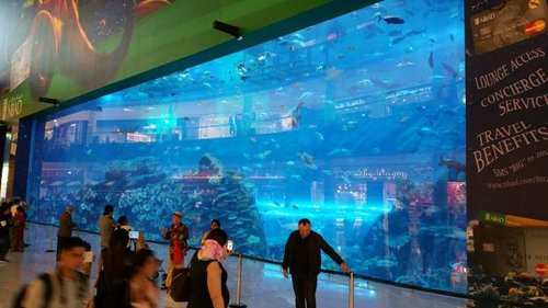 20160202_130325.jpg