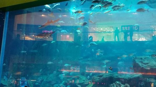 20160202_130418.jpg