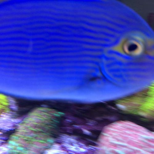 image.jpeg