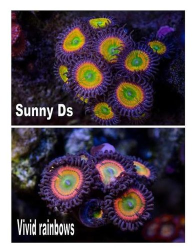 image.jpeg (36.11 KiB) Vist 2711 gange image.jpeg