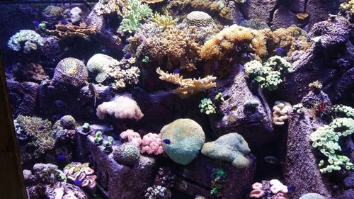 20160204_172120.jpg