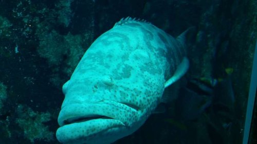 20160204_175430.jpg