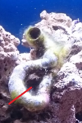 1.JPG (115.04 KiB) Vist 9385 gange 1