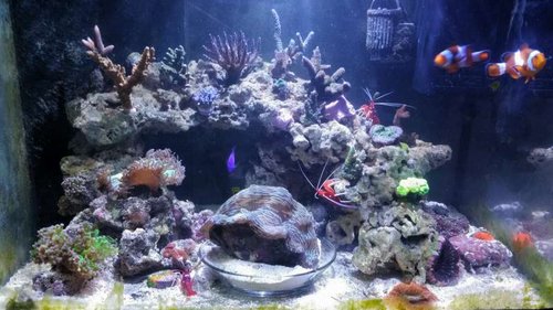 2016-02-08 18.09.45.jpg