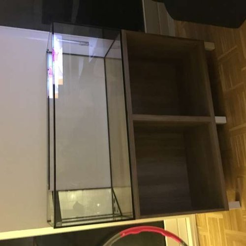 image.jpeg