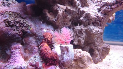 1.JPG (51.42 KiB) Vist 5927 gange 1