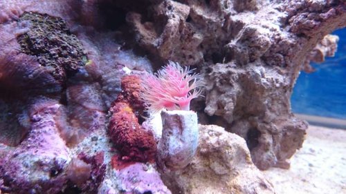 2.JPG (52.16 KiB) Vist 6008 gange 2