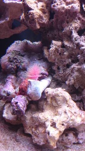 3.JPG (32.23 KiB) Vist 6016 gange 3