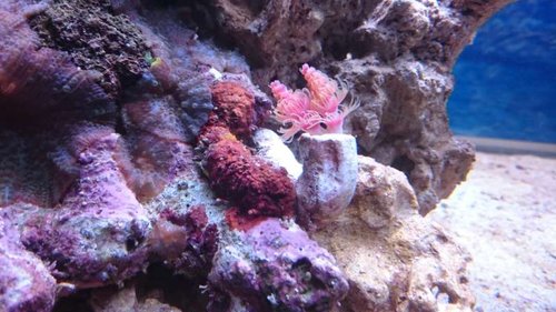 4.JPG (53.42 KiB) Vist 6025 gange 4