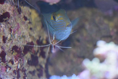 DSC_0103.JPG