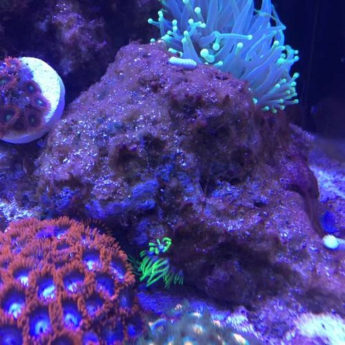 20160228_100933945_iOS.jpg