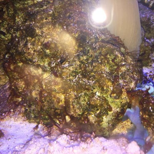 20160228_100956202_iOS.jpg