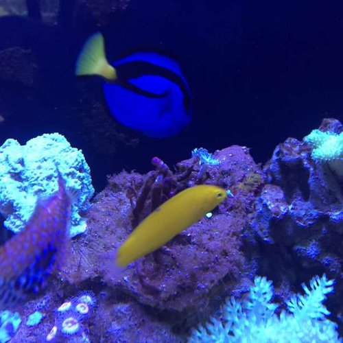 20160228_100938748_iOS.jpg