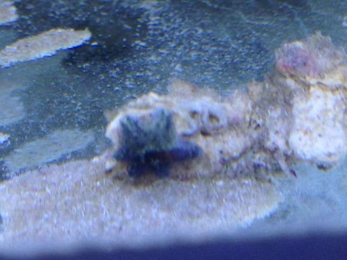 IMG_1127.jpg