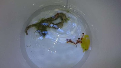 1.JPG (15.6 KiB) Vist 3930 gange Fisk og rørorm er lige lagt i spanden og klar til drypmetoden