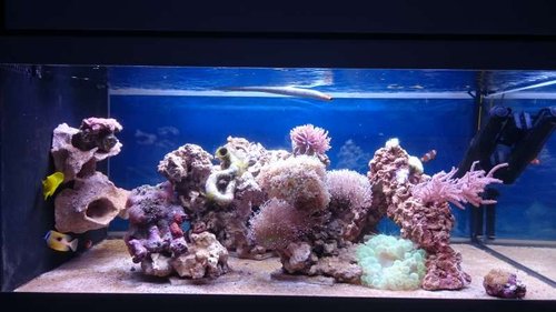 FTS