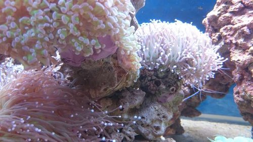 1.JPG (48.98 KiB) Vist 3932 gange 1