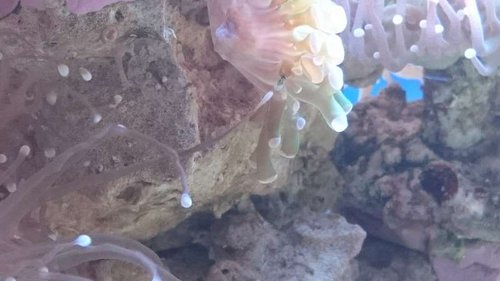 2.JPG (32.7 KiB) Vist 3928 gange 2