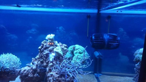 1.JPG (38.59 KiB) Vist 3905 gange 1