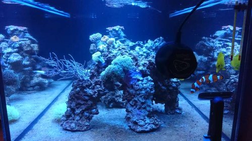 3.JPG (51.27 KiB) Vist 3929 gange 3