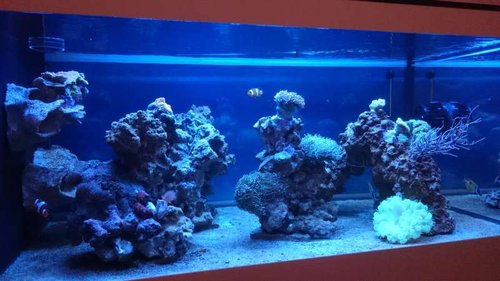 4.JPG (44.06 KiB) Vist 3928 gange 4