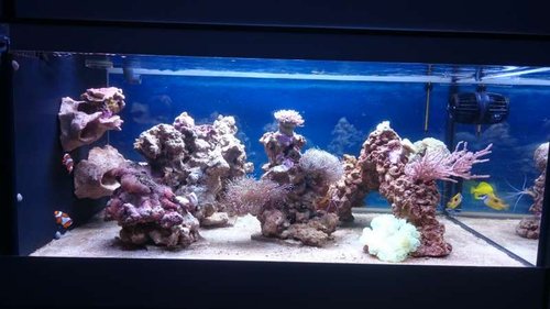 FTS