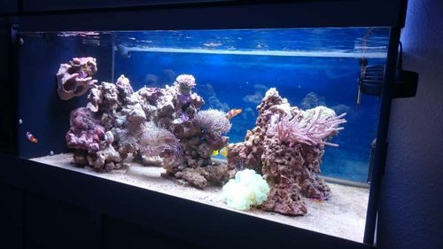FTS
