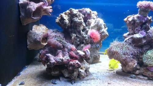 17.JPG (52.13 KiB) Vist 3904 gange Venstre side