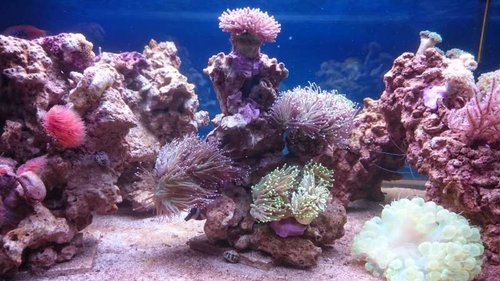 18.JPG (60.43 KiB) Vist 3928 gange Midten