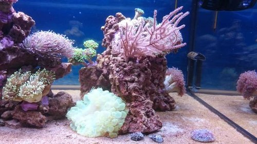 19.JPG (54.92 KiB) Vist 4049 gange Højre side