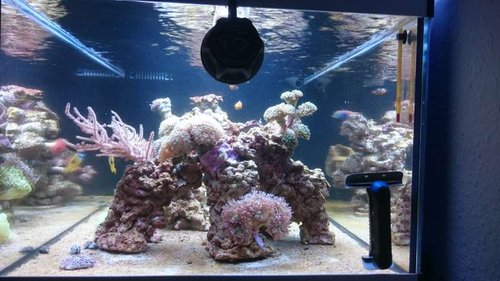 20.JPG (52.3 KiB) Vist 3904 gange Set fra siden