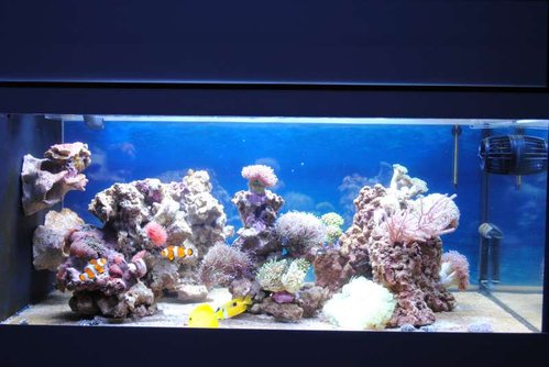 FTS