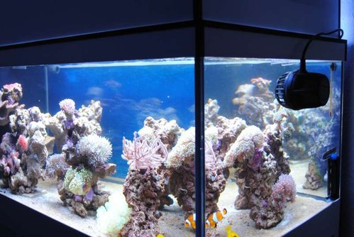 29.JPG (54.76 KiB) Vist 4049 gange FTS