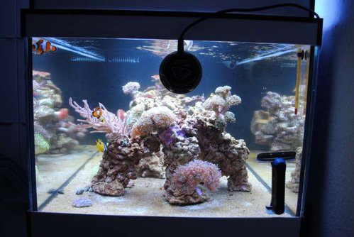 30.JPG (48.25 KiB) Vist 3928 gange Set fra siden