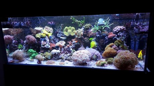 20160312_182749.jpg