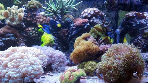 20160312_182814.jpg