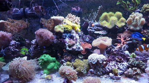 20160312_182841.jpg