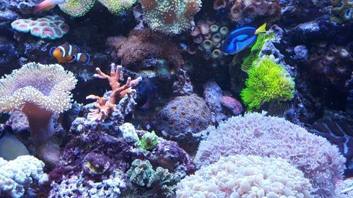 20160312_182954.jpg