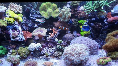 20160312_183010.jpg