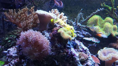20160312_183037.jpg