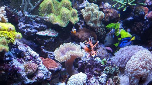 20160312_183054.jpg