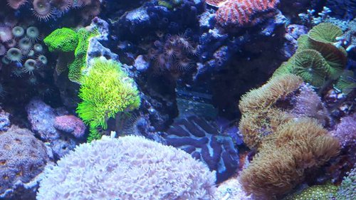 20160312_183103.jpg